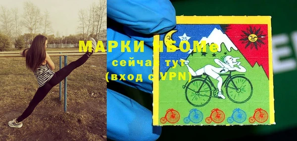 винт Бородино